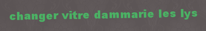 Changer vitre Dammarie les lys